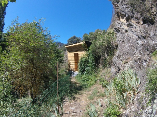 module